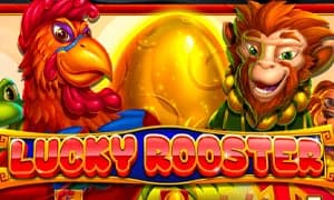 Lucky Rooster