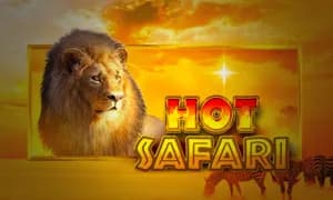 Hot Safari
