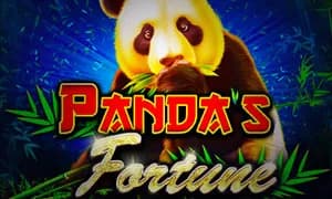 Pandas Fortune