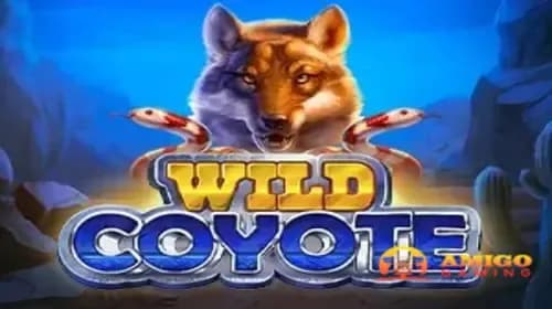 Wild Coyote
