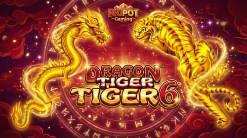 DragonTiger 6