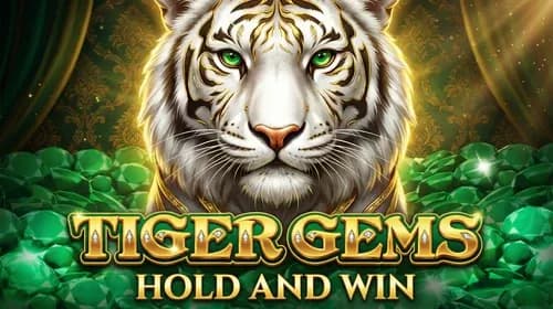 Tiger Gems Hold and Win