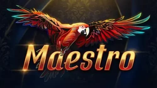 Maestro