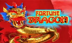 Fortune Dragon