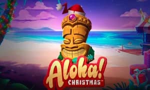 Aloha! Christmas