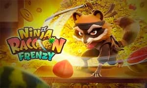 Ninja Raccoon Frenzy