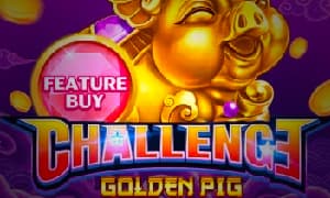 feature buy・golden pig